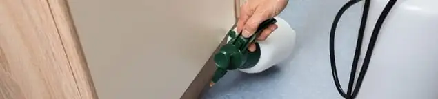 Bed bug exterminator treating baseboards and cracks with targeted spray in Des Moines, IA