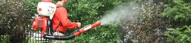 Mosquito control technician fogging shrubs and landscaping for mosquito treatment in Des Moines, IA