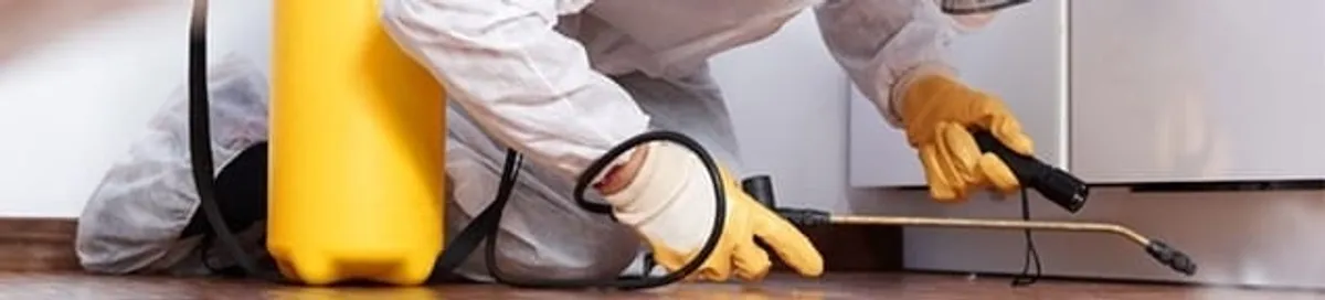 Roach exterminator treating cracks and crevices along kitchen baseboards in Des Moines, IA