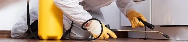 Roach exterminator treating cracks and crevices along kitchen baseboards in Des Moines, IA