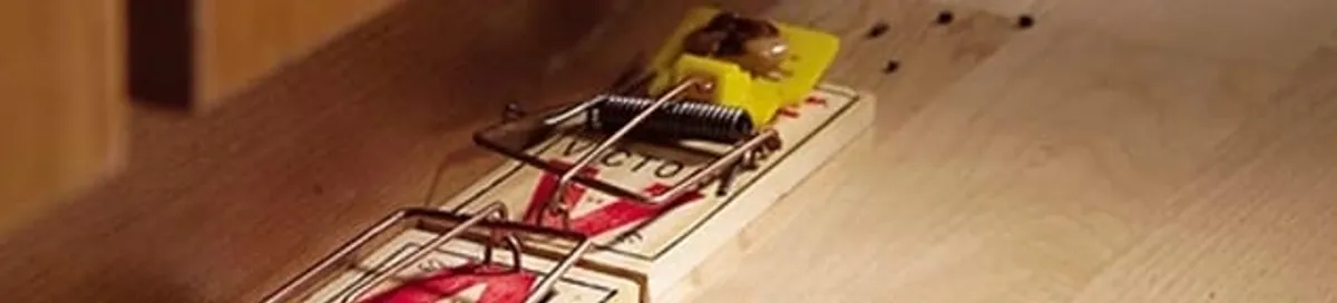 Rodent trap set indoors for rodent control and prevention in Des Moines, IA